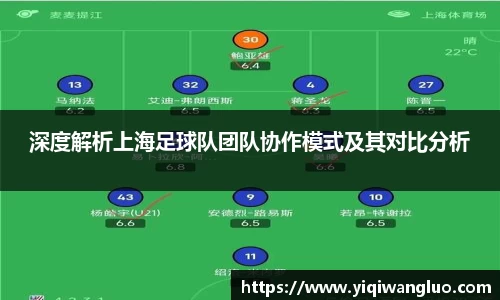 深度解析上海足球队团队协作模式及其对比分析